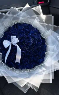 گل روبانی