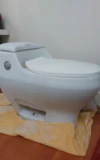 توالت فرنگی