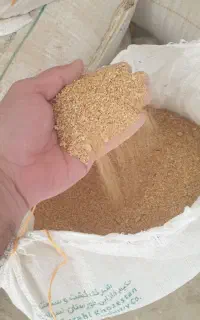 سویا برای مصرف دام