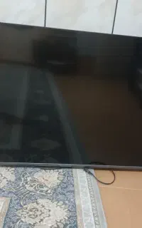 تلوزیون