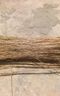 جارو
