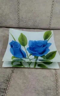 ظرف پذیرایی