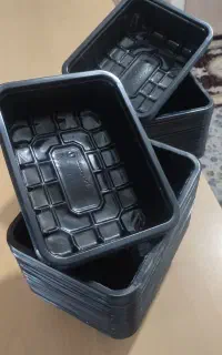 ظرف یکبار مصرف ، ظرف گوشتی