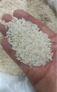برنج طارم کاظمی لرستان