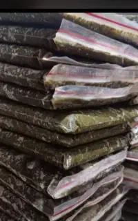 سبزی اپز خورشتی و خشک رامهرمز ارسال ب سراسرکشور