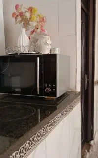 مایکرو فر.زیر تیوی.سرویس دودی