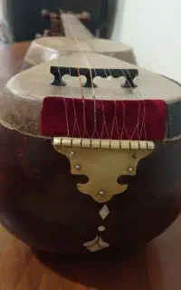 تار آذربایجانی کاملا حرفه ای