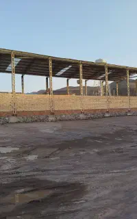 شیروانی