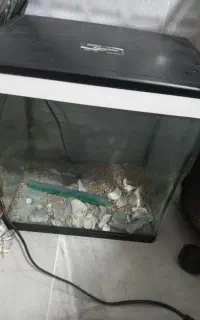 آکواریوم شیشه خم دلسا مدل  k320