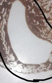 فال حنا .تمامی مجهولات دیده میشوند...