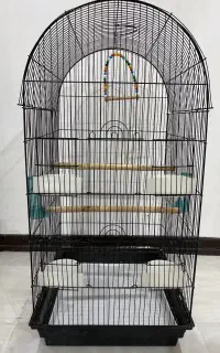 قفس پرنده