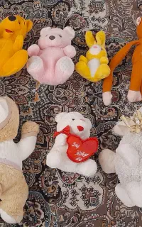 عروسک در حد نو