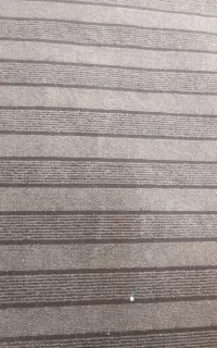 موکت