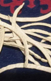 خوراک دام بسیارمقوی ومغذی