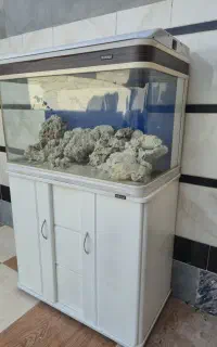 اکواریوم آب شور