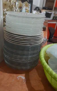 ۲۳عدد بشقاب گچساران