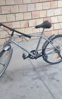 کاملا سالم ونو