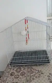 قفس مناسب عروس هلندی و فنچ و.به همراه دوتا ظرف غذا