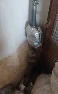 کاتالیزور نیسان