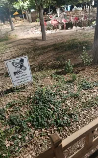 باغبانی