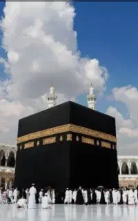 فروش فیش حج واجب