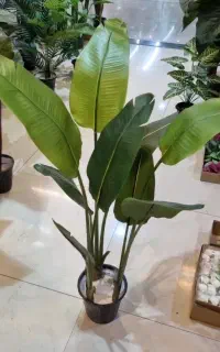 ریشه بنسای درختچه مصنوعی سبز گیاه درخت تنه دار