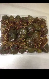 سفارش دلمه،پیراشکی وانواع فینگرفود