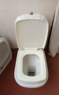 تولت فرنگی باروشوی