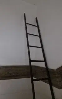 نردبان سالم