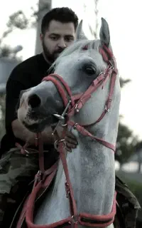 سیلمی دوسر مدارک تکمیل جهت کشش