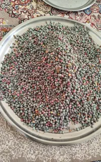 گناشک