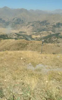 باغداری و کشاورزی