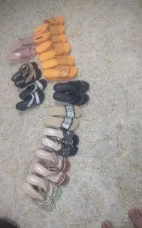 طبی مجلسی
