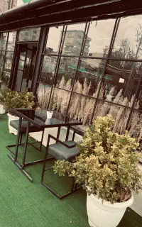 کافه صبحانه خیابان جام جم جنب گلخانه صهبا