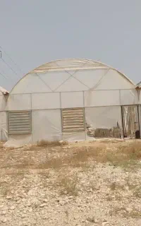 گلخانه