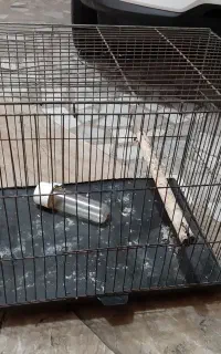 قفس پرنده بسیار سالم و تمیز