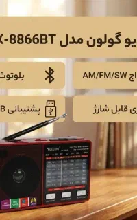 رادیو بلوتوثی، فلش خور
