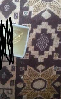 گوشواره پیدا شده