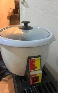پلوپز سالم