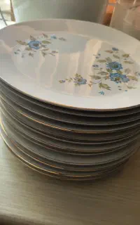 بشقاب پلو.خوری