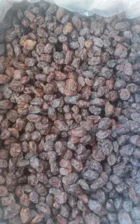کشمش مویز