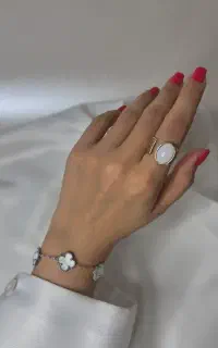 انواع اکسسوری نو