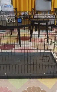 قفس سگ تاشو
