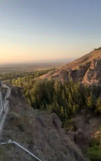 بلیط