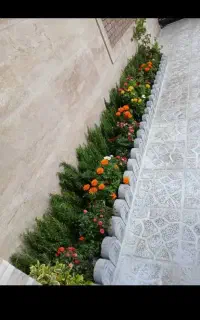 خدمات‌باغبانی‌درسراسر‌تهران