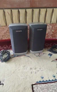 باند آیوا