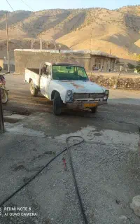 زامیاد