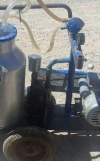 شیردوش