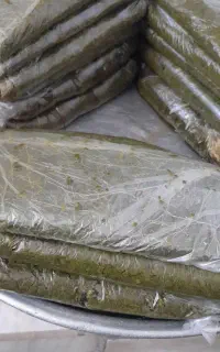 سبزی خورشتی