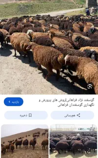 نگهبان